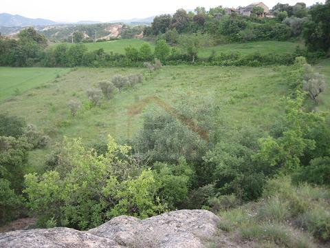 1-190.jpg