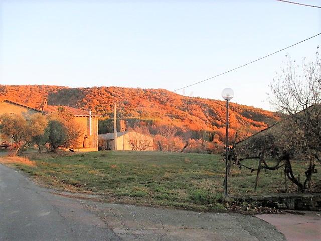 1-218.jpg