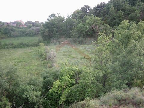 2-187.jpg