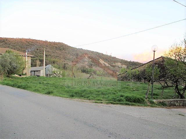2-215.jpg