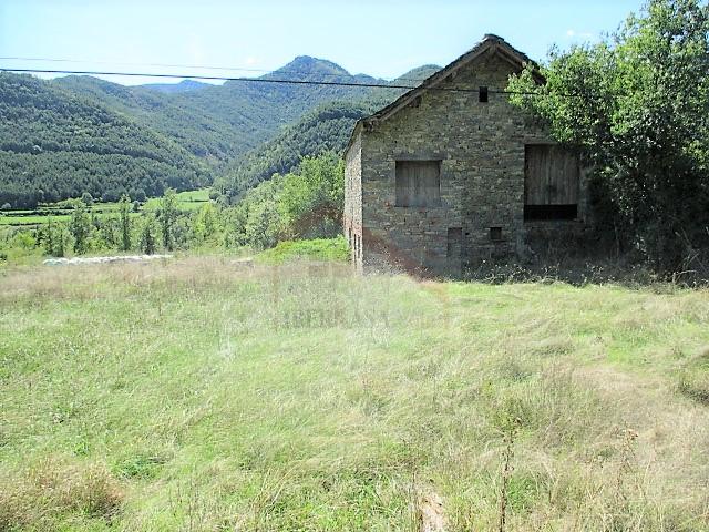 3-238.jpg