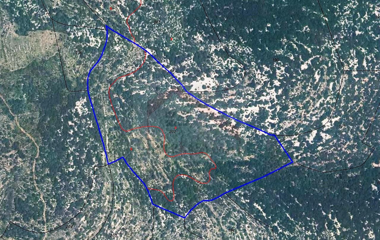 3-275.jpg