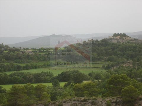 5-179.jpg