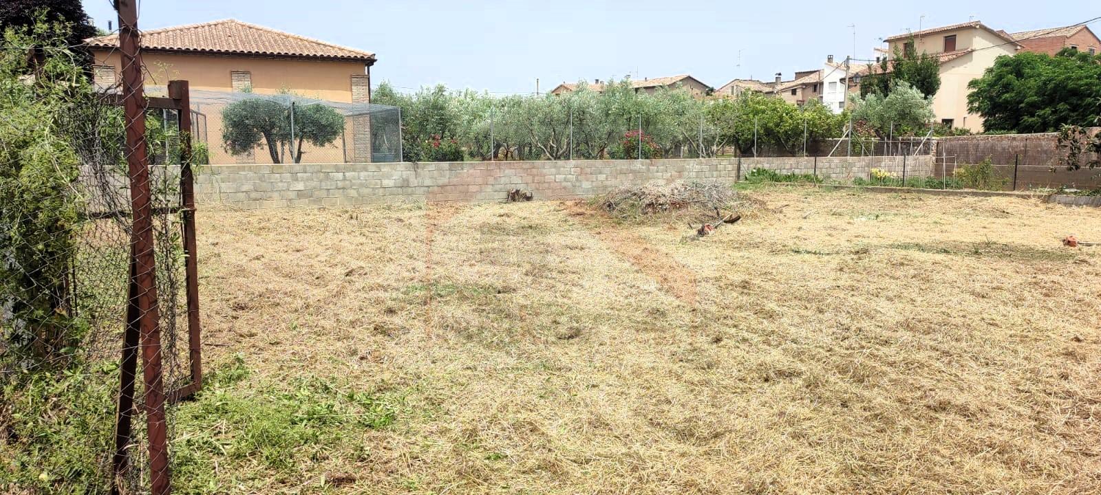 PHOTO-2025-09-03-20-37-48