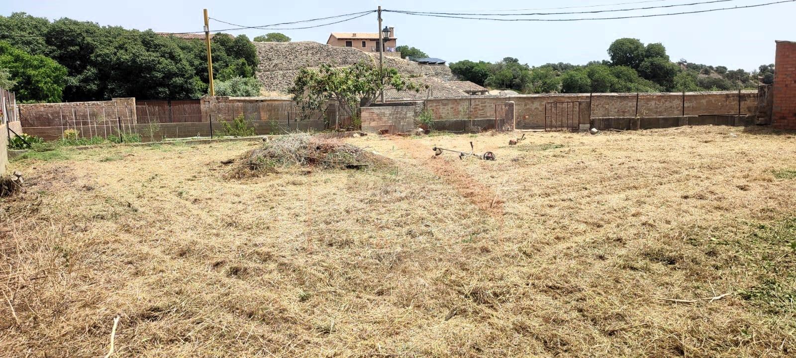 PHOTO-2025-09-03-20-37-48_1