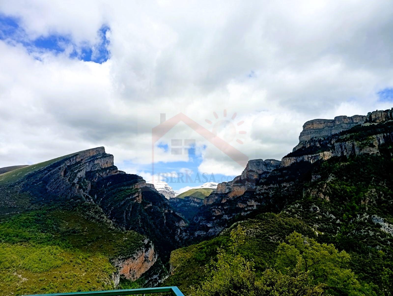 IMG-20260513-WA0006